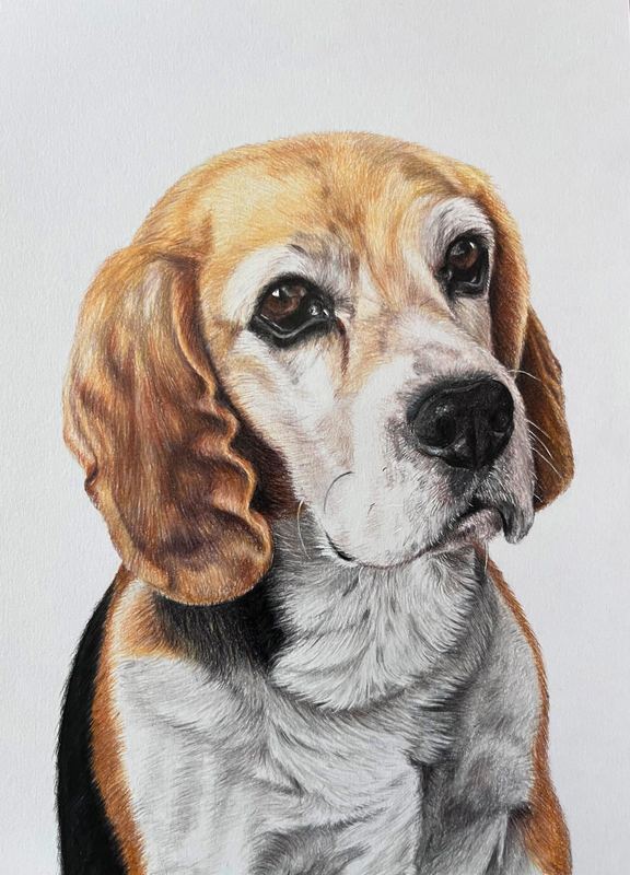 Greg's Beagle