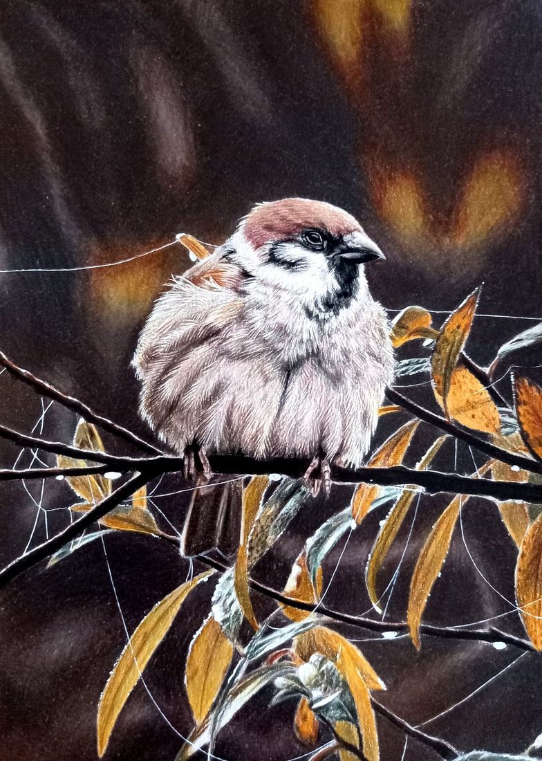 Coloured pencil portrait of a sparrow among autumn leaves