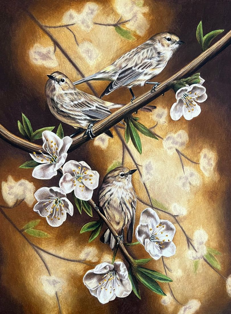 Coloured pencil portrait of three birds among blossom