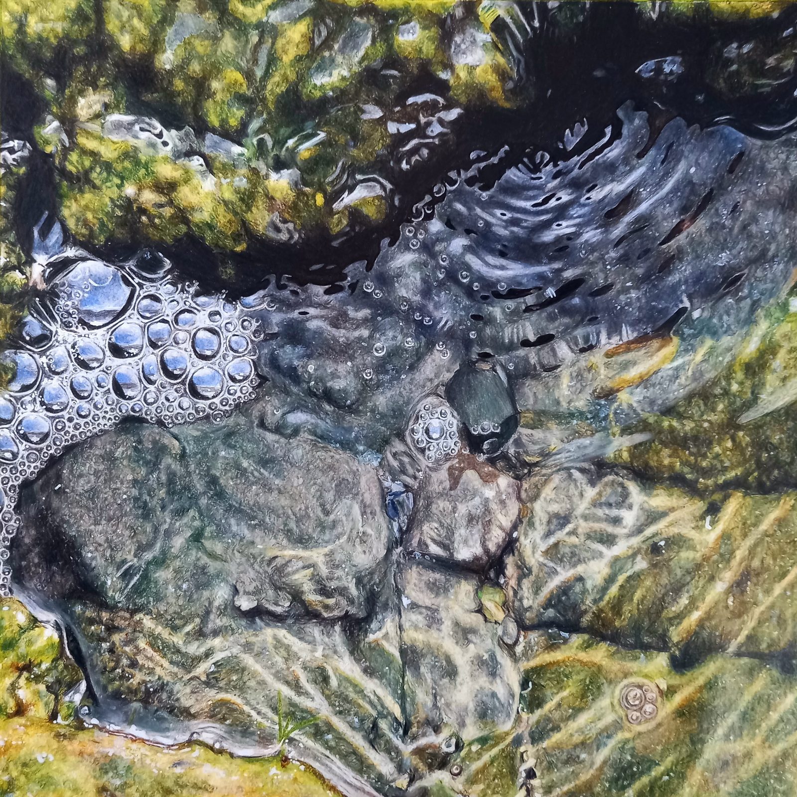 Coloured pencil drawing of a bubbling rockpool