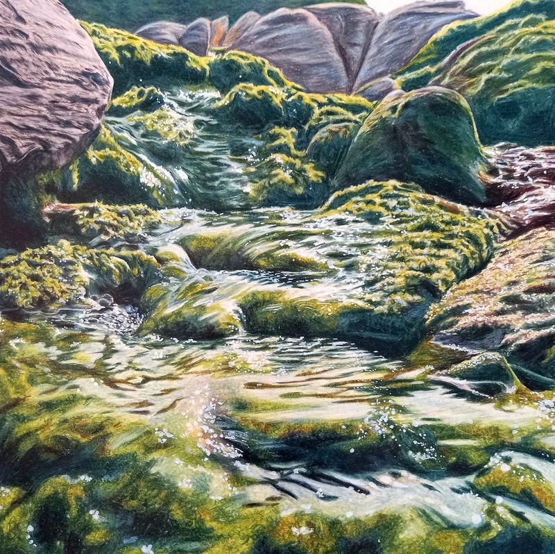 Coloured pencil drawing of a mossy mountain stream