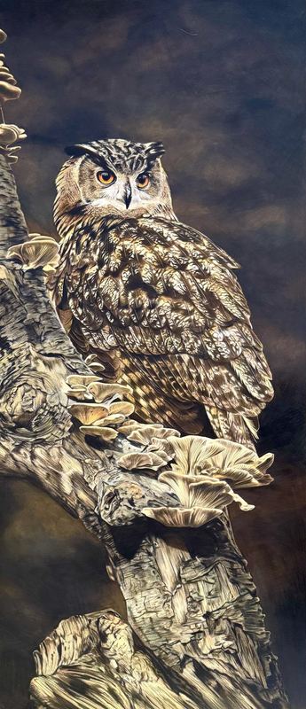 Coloured pencil portrait of an eagle owl perched among bracket fungi