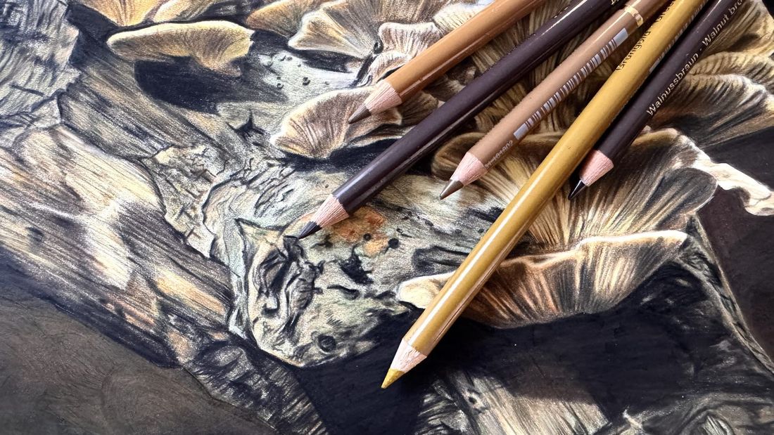 Close-up of coloured pencils resting on a finished coloured pencil drawing